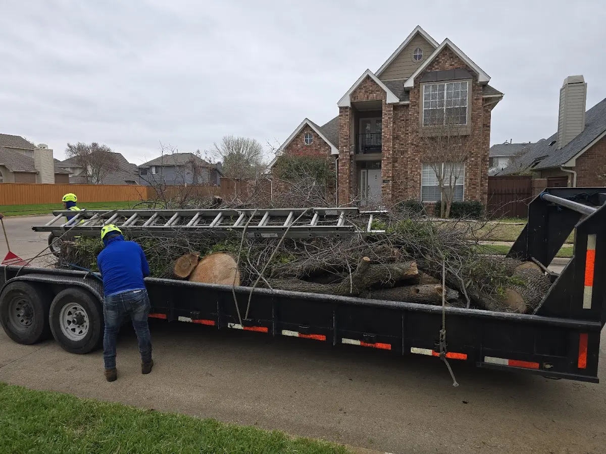 Expert Tree Fertilization with proper safety equipment in Waynesboro